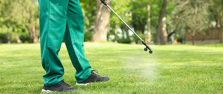 Lawn technician spraying weed control treatment on green grass in Avondale, TX