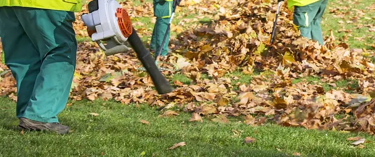 Lawn care crew using leaf blowers for fall leaf removal on a green lawn