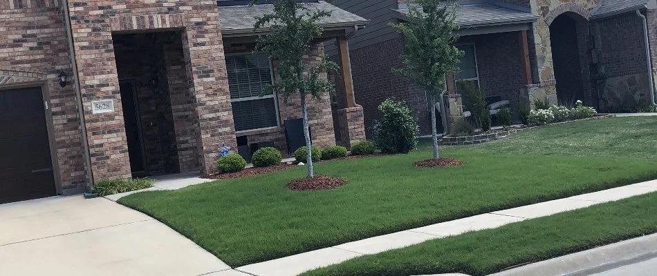 A healthy, green lawn in River Oaks, TX.