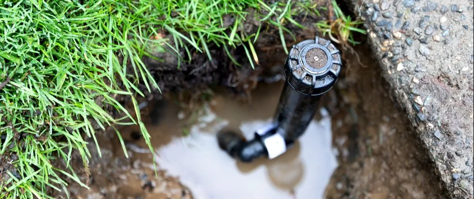 Puddle around a broken sprinkler head in Hudson Oaks, TX.