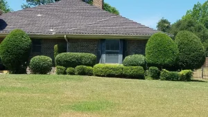 Read more about the article We’re Rebranding! First Cut Becomes Buffalo Outdoor