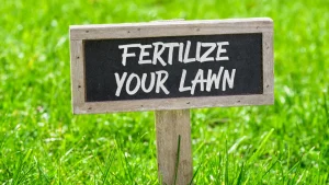 Read more about the article How Often Should You Be Fertilizing Your Lawn in the Texas Summer Heat?