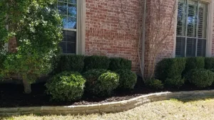 Read more about the article Trimming Your Plants Is an Easy Way to Take Your Curb Appeal up a Notch