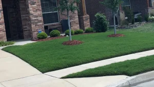 Read more about the article How to Keep Your Lawn in Texas Weed-Free