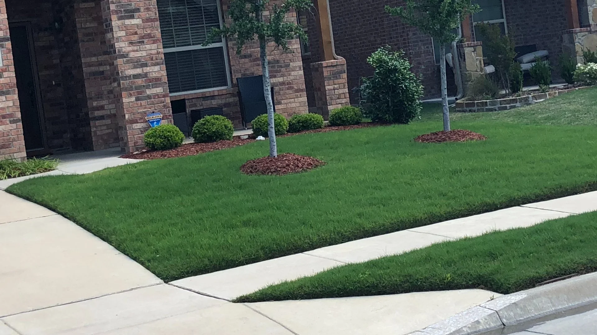 Read more about the article How to Keep Your Lawn in Texas Weed-Free