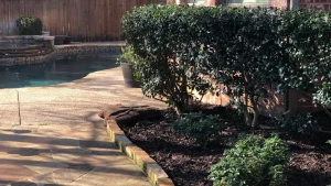 Read more about the article How Thick You Install Your Mulch Ground Cover Matters!