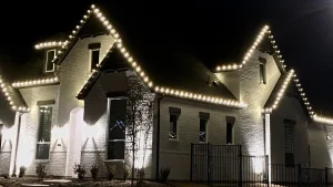 Read more about the article LED Bulbs Are a Must for Your Holiday Lighting!