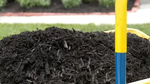 Read more about the article Replenishing Your Mulch Ground Cover Is More Important Than You Think!