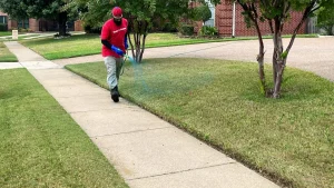 Read more about the article The Recommended Fertilization Schedule for Lawns in Texas