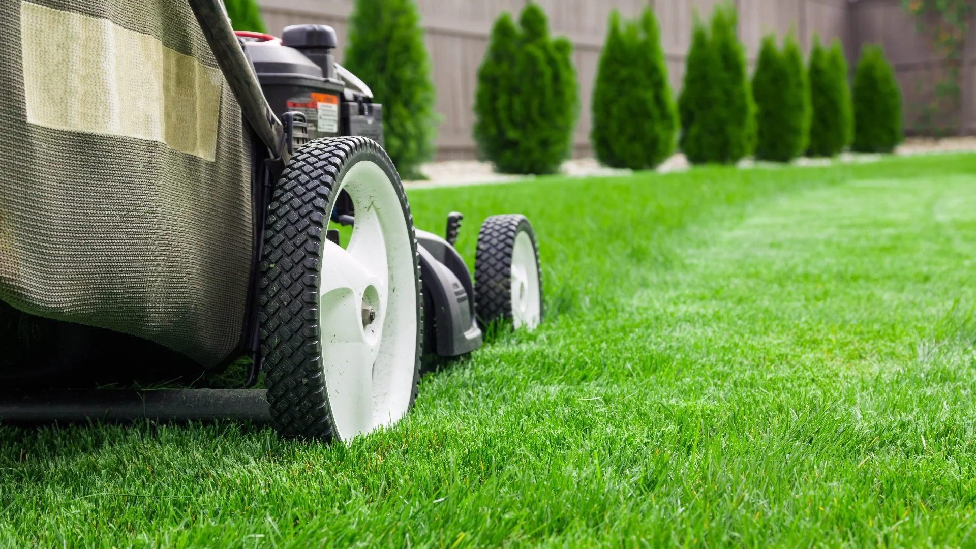 You are currently viewing How Often Should You Be Mowing Your Lawn in Texas?