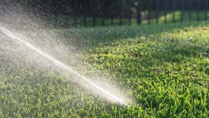 Read more about the article These Signs Point to an Issue With Your Irrigation System