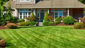 Read more about the article What Lawn Care Does My Grass in Keller, TX Need This Fall?