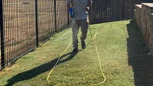 Read more about the article Liquid vs Granular Fertilizer: Which One Should You Use for Your Lawn in Texas?