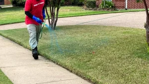 Read more about the article Pre-Emergent Weed Control: What Is It & Does My Lawn Need It?