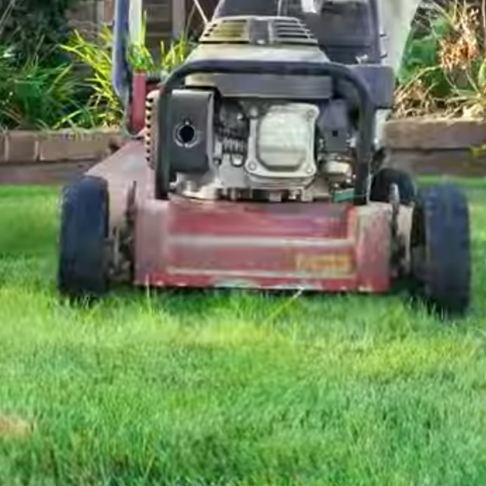 What is the 1/3 rule of lawn mowing
