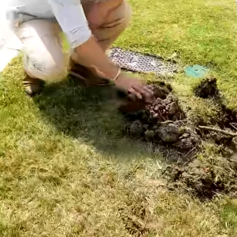 Read more about the article Avoid New Build Disasters!