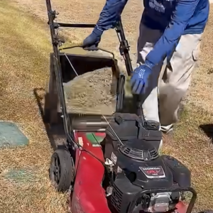 Read more about the article Bagging Grass Is A Huge Mistake