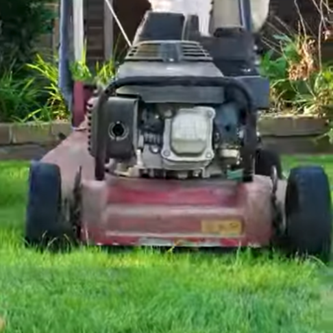 Read more about the article How to Scalp Bermuda Grass?