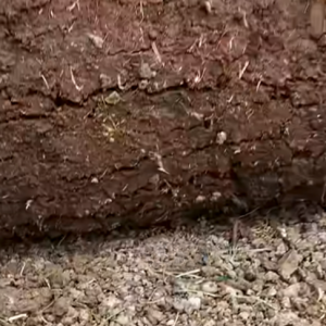 Read more about the article How Builders Ruin Perfect Lawns!