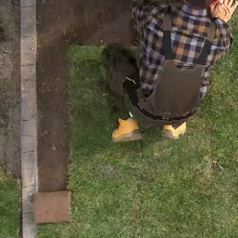 Read more about the article How They Cheap Out Your Lawn!