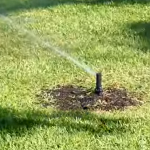 Read more about the article Choose the RIGHT Sprinkler for Your Lawn!