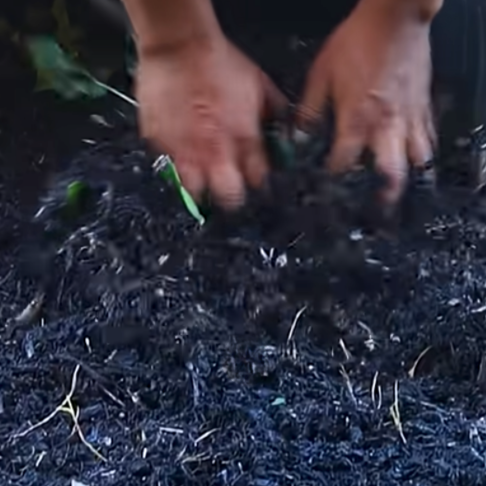 Read more about the article What’s the Best Time to Mulch!