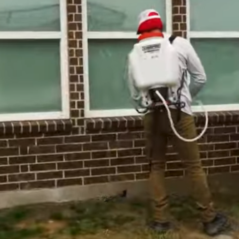 Read more about the article Prevent Pests With Perimeter Spray!