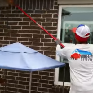 Read more about the article How to Prevent Wasps From Nesting!