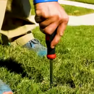 Read more about the article How To Test Your Soil #lawncare #diy