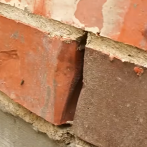 Read more about the article ¡Cómo evitar que las plagas entren en los agujeros de drenaje!