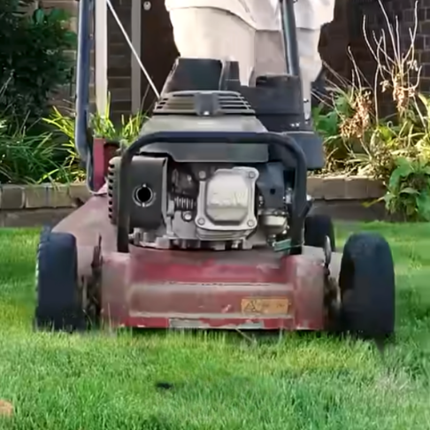 Read more about the article ¿Deberías embolsar o triturar los recortes de césped?