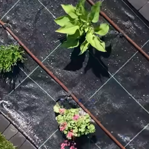 Read more about the article ¡Deja de usar tela para jardinería! Aquí te explicamos por qué