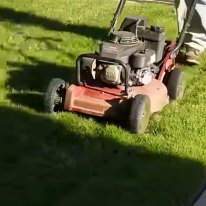 Read more about the article ¡Cómo cortar el césped CORRECTAMENTE!