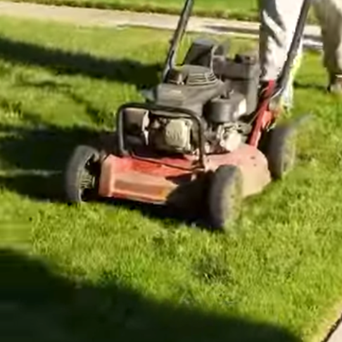 How Many Times Should You Mow?