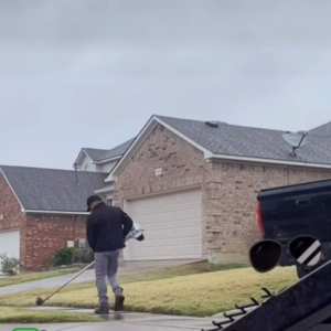 Read more about the article Buffalo Video Challenge | Vote for Victor