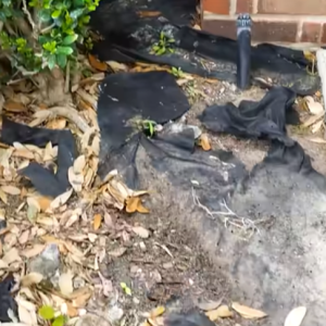 Read more about the article How Weed Barrier Hurts Your Beds!