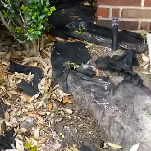 Read more about the article Stop Wasting Money on Weed Barrier!