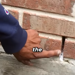 Read more about the article How to Seal Weep Holes the Right Way!