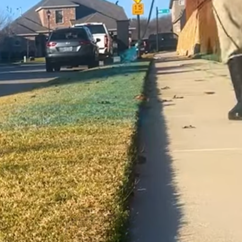 Why Is That Lawn So Blue?