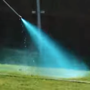 Read more about the article Why is that Lawn Blue?