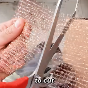 Read more about the article How To Seal Weep Holes and Keep Pests Out!