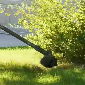 Read more about the article Lawn Edger vs String Trimmer