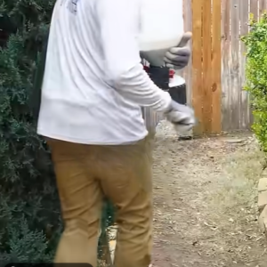 Read more about the article Can You Fertilize Too Early?