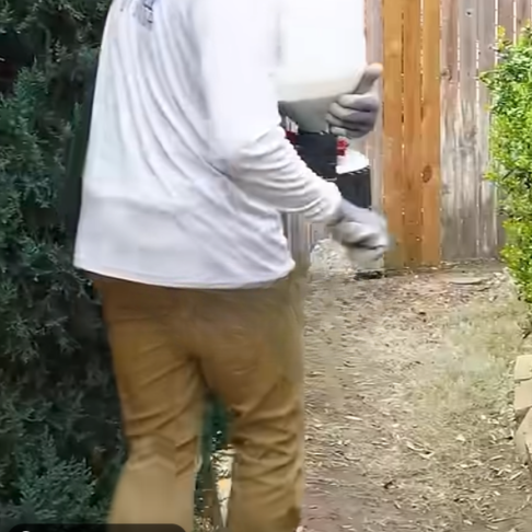 Read more about the article Can You Fertilize Too Early?