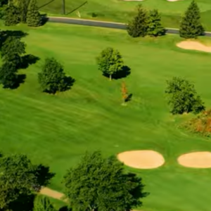 Read more about the article Why Baseball Fields Have Perfect Grass!