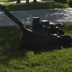 Read more about the article Should You Scalp Your Lawn in Fall?