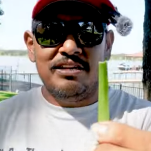 Read more about the article Con qué frecuencia debes afilar las cuchillas del cortacésped?