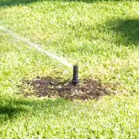 Stop Watering at the Wrong Time